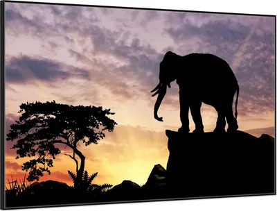 Produktbild von Wallario Wandbild Elefant vor Abendhimmel, Größe: 61 x 91,50 cm, Poster mit schwarzem Aluminiumrahmen