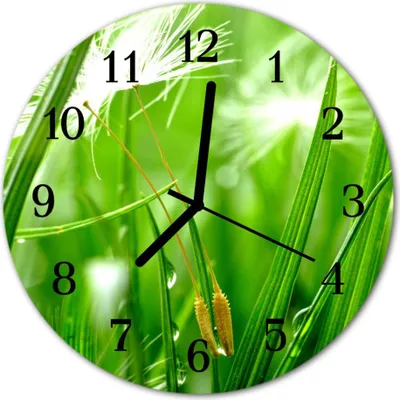 Produktbild von Glasuhr Wanduhr Küchenuhr Echt-Glas 30fi cm Gras grün
