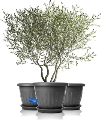 Produktbild von BigDean 3X Blumentopf mit Untersetzer rund ø50xH38 cm anthrazit - wetterfester Pflanzkübel - Wasserablauf UV-beständig aus bruchsicherem Kunststoff