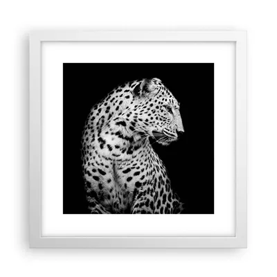 Produktbild von Gerahmtes Poster - Weißer Rahmen - Leopard Panther Katze - 30x30 cm - Wand Bild - Wanddeko - Wandbilder - Kunstposter - Wandposter - Bilderrahmen - Bilder - Kunstdruck - P2WAC30x30-4919