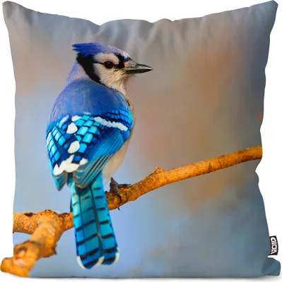 Produktbild von VOID Eichelhäher Vogel Natur Kissenbezug Kissenhülle Sofakissen Kissen Deko Outdoor-Kissen Dekokissen