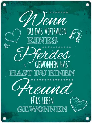 Produktbild von Metallschild mit Spruch: Wenn du das Vertrauen eines Pferdes ... Blechschild