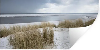 Produktbild von MuchoWow® Wandtattoo Wandsticker Wandaufkleber Nordsee - Dünen - Wasser 80x40 cm Selbstklebend und Repositionierbar - Aufkleber