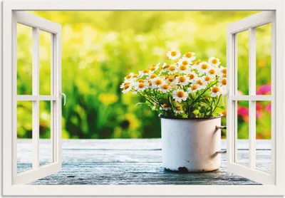 Produktbild von ARTland Wandbild Alu für Innen & Outdoor Garten mit Echter Kamille, weiß Größe: 70x50 cm
