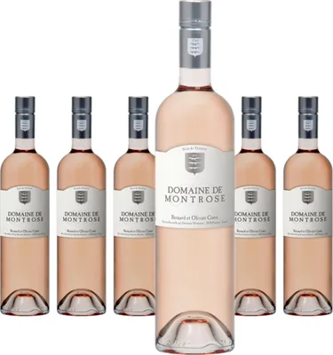 Produktbild von 6 x Domaine de Montrose Rosé