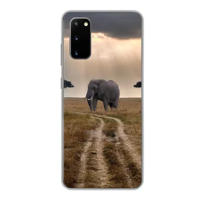 Produktbild von MuchoWow® Handyhülle Schutzhülle Hülle für Samsung Galaxy S20 Elefant - Tiere - Wiese - Sonne Silikon Softcase Handy Hülle - Bild