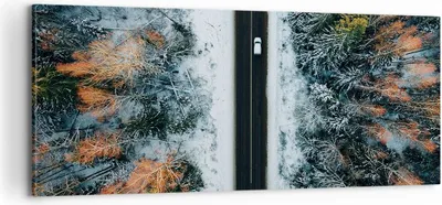 Produktbild von Bild auf Leinwand - Leinwandbild - Einteilig - Wald Weg Schnee - 100x40cm - Wand Bild - Wanddeko - Wandbilder - Leinwanddruck - Bilder - Wanddekoration - Leinwand bilder - Wandbild - AB100x40-4654