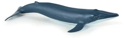 Produktbild von Papo Blauwal-Kalb, 3 Jahr(e), Marine life, Blau, PVC
