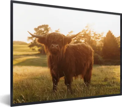 Produktbild von MuchoWow® Gerahmtes Poster Schottischer Hochländer - Gras - Sonne 40x30 cm - Poster mit Schwarzem Bilderrahmen Wandposter Rahmen Foto Bilder - Kunstposter - Wanddekorationen