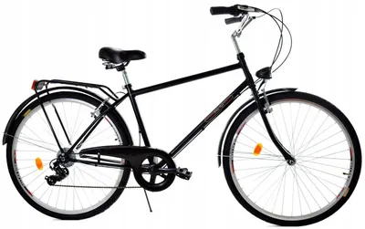 Zdjęcie produktu dla Rower Dallas City Men 28" 7spd - czarny