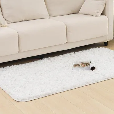 Produktbild von Famanu Hochflor Teppich Weich und Waschbar - 80 x 150 cm