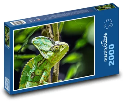 Obrázok produktu pre Puzzle 2000 Chameleón v Pralese - martinpuzzle