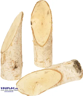 Produktbild von EDUPLAY 310190 Birkenstämmchen, Ø 5 x 14,5 cm, natur, 5-teilig (1 Set)