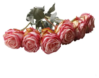 Produktbild von Künstliche Rose, realistische Seidenrose mit Stiel, ideal für DIY-Hochzeitssträuße, Tischdekorationen und Blumenarrangements für Zuhause und Partys.
