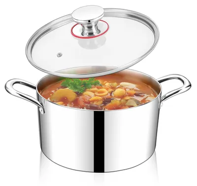 Obrázok produktu pre Kvalitná hrniec z nerezovej ocele s skleneným pokrievkou, priemer 22 cm