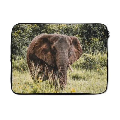 Produktbild von MuchoWow® Laptop Hülle 14 ZollElefant - Natur - Gras Laptoptasche - Laptoptasche - Stoßsicher - Schutzhaube