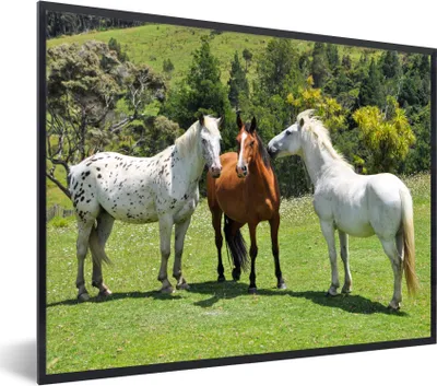 Produktbild von MuchoWow® Gerahmtes Poster Pferde - Baum - Schatten 80x60 cm - Poster mit Schwarzem Bilderrahmen Wandposter Rahmen Foto Bilder - Schwarzem - Mit Gestell