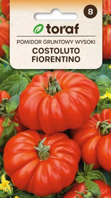 Produktbild von Freilandtomate COSTOLUTO FIORENTINO Samen 345 Toraf