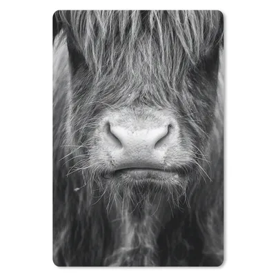 Produktbild von MuchoWow® Mauspad Mousepad Schottischer Highlander - Haare - Tiere 18x27 cm - Mousepads - Maus Mat - Pad - Mausunterlage