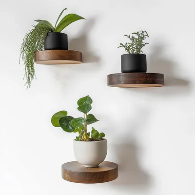 Immagine prodotto di Skye Decor, Raf283, mensola decorativa in legno, legno, 100% LEGNO MASSICCIO, 12 x 12 x 1,9 cm