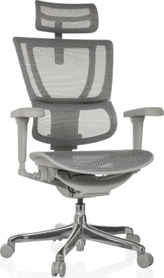 Produktbild von hjh OFFICE Luxus Chefsessel ERGOHUMAN SLIM ULTRA G GEN2 Ergonomischer Bürostuhl mit Armlehnen (höhenverstellbar) Netzstoff Drehstuhl für Büro, Zuhause