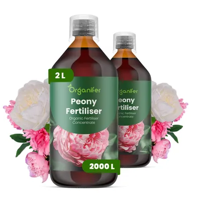 Zdjęcie produktu dla Pivónia Nawóz Płynny 2x1 L – 2-1-8 NPK – Do Pivónie – Podporuje Silne Korzenie i Stabilny Wzrost – Organifer