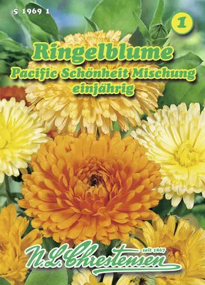 Produktbild von Ringelblume Pacific Schönheit Mischung | Ringelblumensamen von N.L. Chrestensen