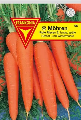 Produktbild von Möhre Rote Riesen 2