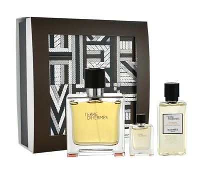 Produktbild von HERMES TERRE D'HERMES EDP 75ML Set