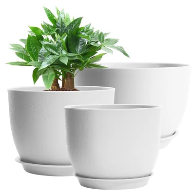 Image de Ensemble de 3 grands pots de fleurs blancs pour intérieur