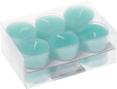 Produktbild von Teelichter in Kunststoffhülle Mint 18/38mm, 12er-Pack Steinhart Kerzen in RAL-Kerzen Güte Qualität