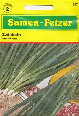 Produktbild von Zwiebelsamen Winterhecke