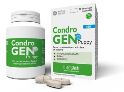 Produktbild von Condrogen Puppy Gelenktabletten für Welpen großer Rassen, mit PGA-m, 90 Tab