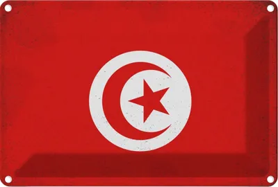 Zdjęcie produktu dla vianmo Blaszany znak 12x18 cm Tunesien Flag of Tunisia Vintage