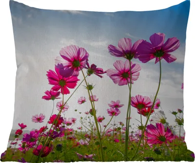 Produktbild von MuchoWow® Outdoor Kissen - Blumen - Rosa - Cosmea - 40x40 cm - Wetterfest - Lounge Kissen - Kopfkissen - Interieur - Polster mit Bild