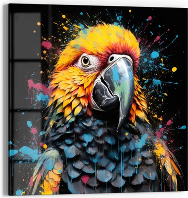 Produktbild von DEQOART Glasbild Echtglas 50x50 cm 'Papageienfarbspiel' Wandbild Bild modern Deko