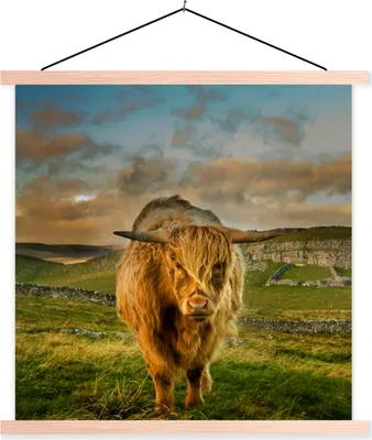 Produktbild von MuchoWow® Textilposter Schottisches Hochlandrind - Gras - Berg 60x60 cm mit holzfarbenen Rahmen - Wanddekoration