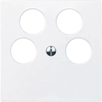 Produktbild von Merten Zentralplatte pws 295319