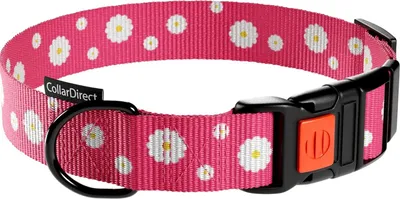 Zdjęcie produktu dla Obroża dla psa nylonowa z klamrą Regulowany obwód szyi 30-40 cm Różowy