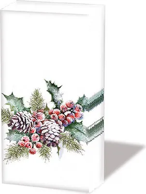 Produktbild von neu 2024 - Weihnachten - Taschentücher  21,5 x 22 cm – 4-lagig – á 10