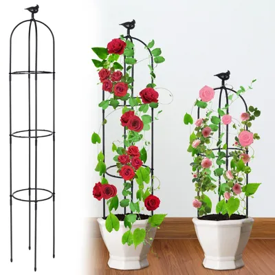 Immagine prodotto di Solidchoice - Obelisco da giardino - Supporto per piante rampicanti in acciaio inossidabile, 183 cm