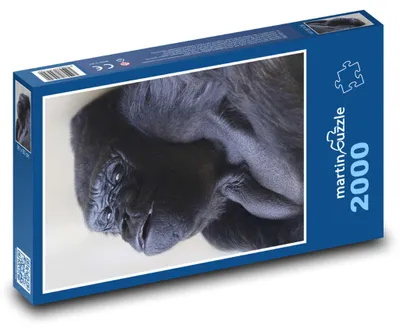 Obrázek produktu pro martinpuzzle - Puzzle 2000 - Šimpanz - opice