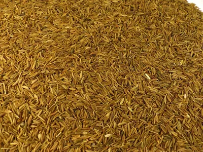 Produktbild von Kreuzkümmel ganz Naturideen® 100g