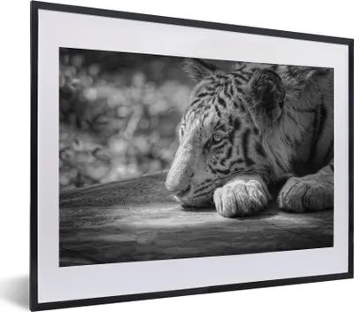 Produktbild von MuchoWow® MuchoWow® Gerahmtes Poster Tiger - Wild - Porträt 40x30 cm - Poster mit zchwarzem Bilderrahmen - Bilderrahmen - Poster im Rahmen