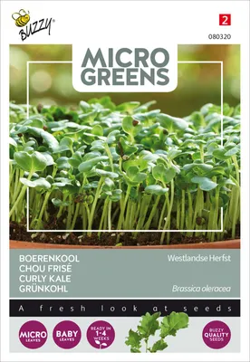 Productafbeelding van Groenkol Westlander Halfhoog | Microgroenten van Buzzy Seeds