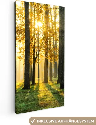 Produktbild von MuchoWow® - Leinwandbilder - Wald - Sonne - Bäume - Gras - Landschaft - Natur, Wandbild, Wanddeko Bilder Wohnzimmer, 40x80 cm