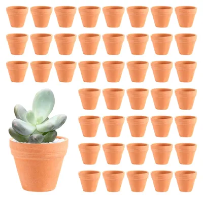 Produktbild von 48 Mini Blumentöpfe aus Ton 3,5 x 3 cm – Kleine Tontöpfe mit Entwässerungsloch zum Basteln – DIY Blumentopf aus Terrakotta – Blumentopf zum Bemalen für Sukkulenten und Kräuter