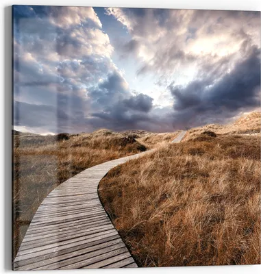 Produktbild von DEQORI Glasbild Echtglas 50x50 cm 'Goldener Pfad' Wandbild Bild modern Deko