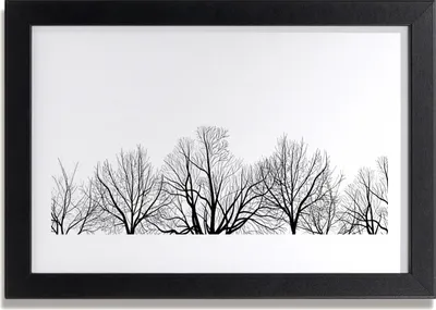 Produktbild von Bild 30x20 MDF-Rahmen Wandkunst Pflanzen-Bäume Natur