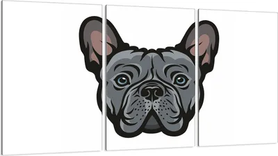 Produktbild von Glasschutzplatte für Herd 3x30x52